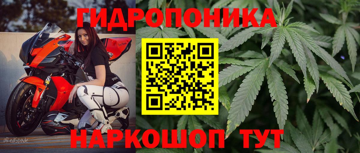 Бошки Шишки конопля Великие Луки